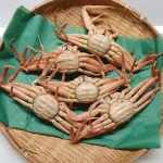 crab04