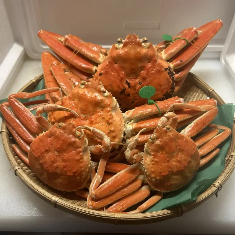 crabset03