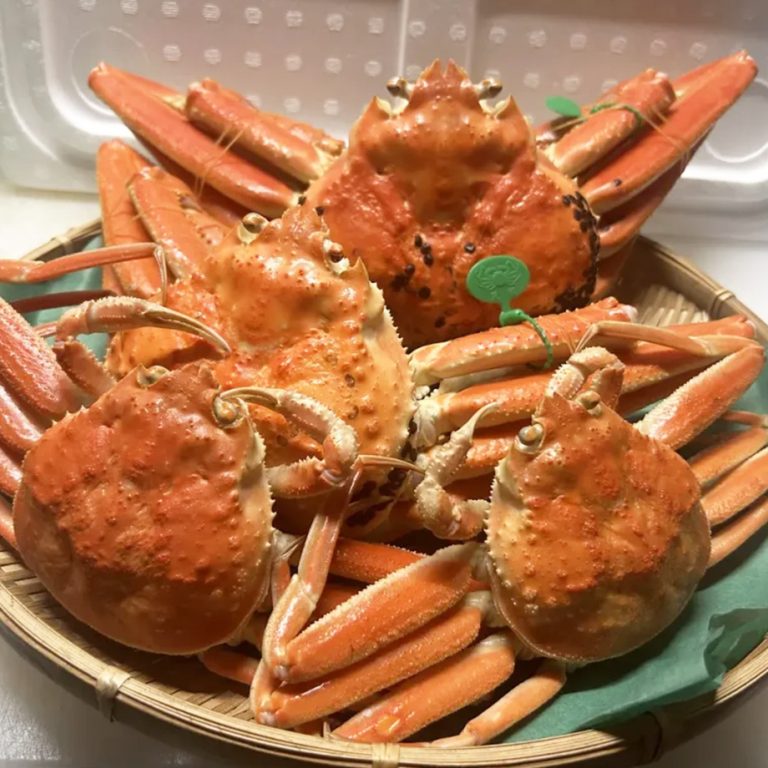 crabset03