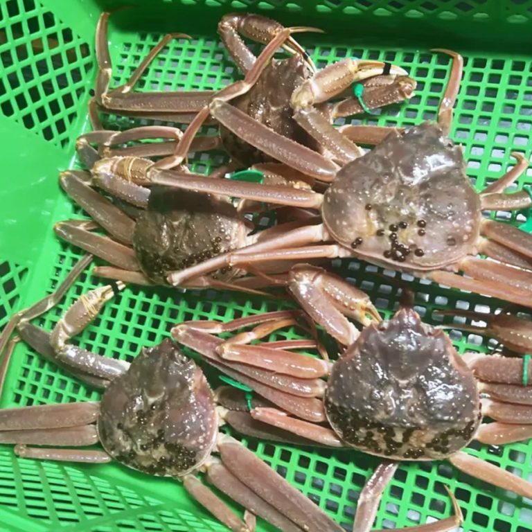 crabset01