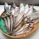 dried_fishset01