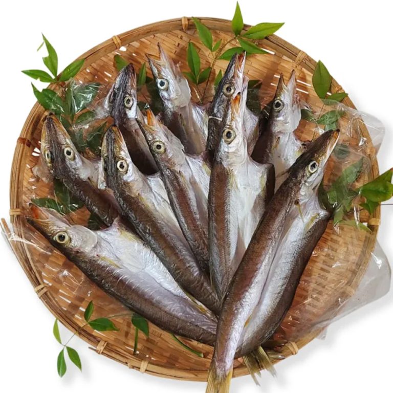 dried_fishset04