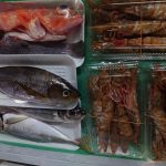 fresh fish_set01