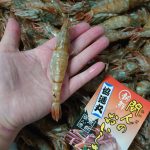 shrimp_01