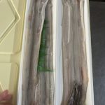 anago