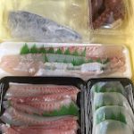 fresh fish_set01