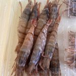 shrimp_01