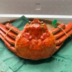 crab08