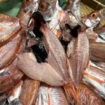 dried_fish02