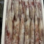 squid dried fish