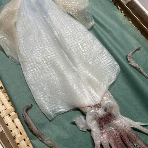 squid dried fish