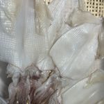 squid dried fish