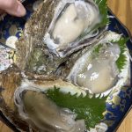 oyster