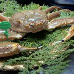crab09