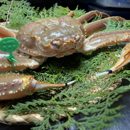 crab09