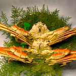 crab08