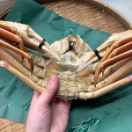 crab08