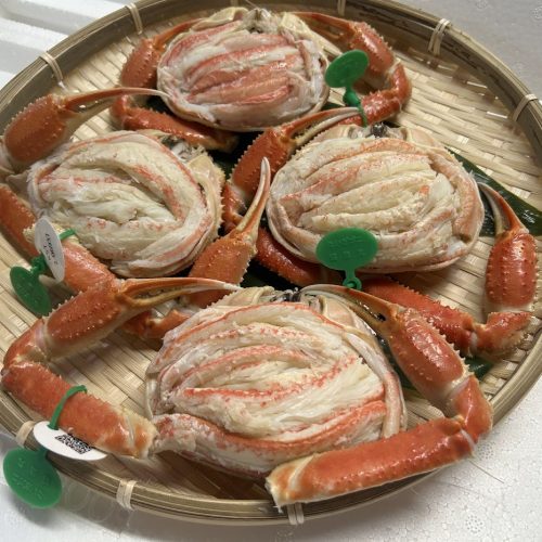 crab10