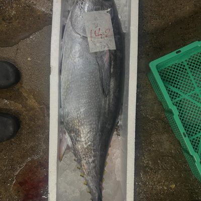 626473022_18110970373651775_5882059661381722455_n